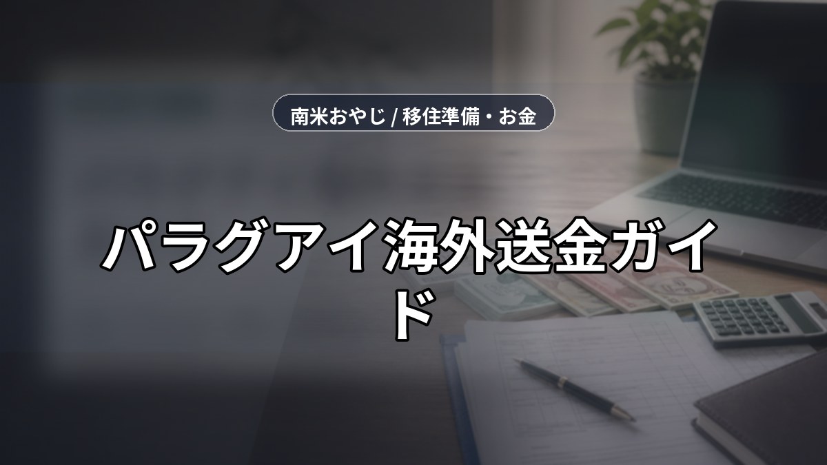 パラグアイ海外送金ガイド｜Wise・Revolut・銀行・税務確認【2026年】 のサムネイル画像