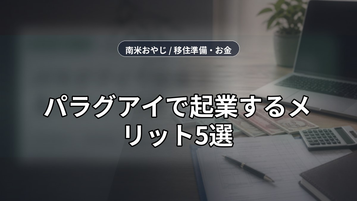 パラグアイで起業するメリット5選｜法人税10%・税制優遇・SUACE活用法 のサムネイル画像