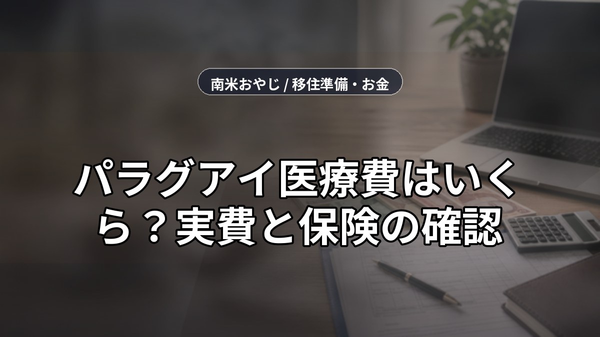 パラグアイ医療費はいくら？実費と保険の確認【2026年】 のサムネイル画像