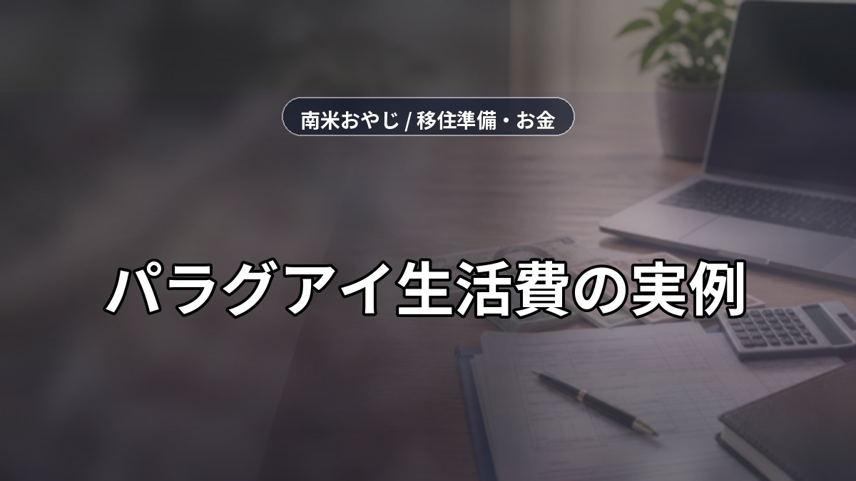 パラグアイ生活費の実例｜月間支出・送金・税務確認【2026年】 のサムネイル画像