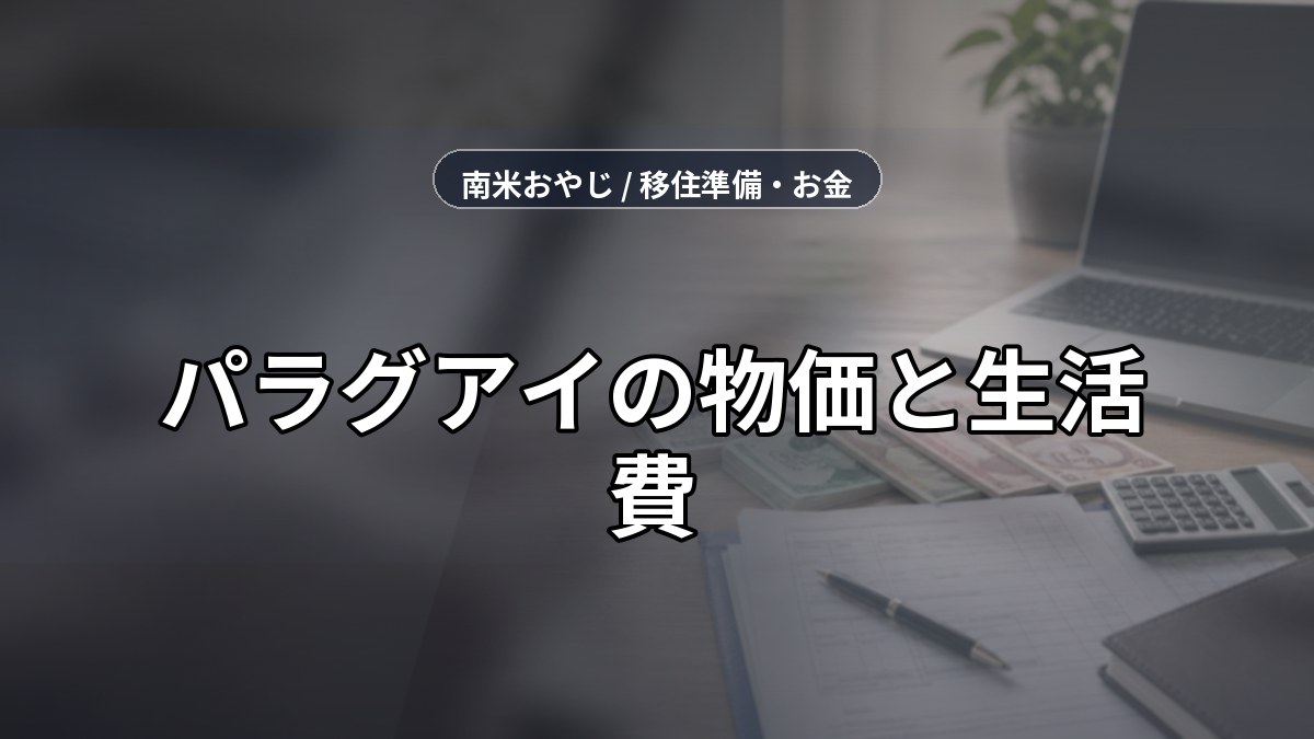 パラグアイの物価と生活費｜アスンシオン在住者の支出例【2026年】 のサムネイル画像