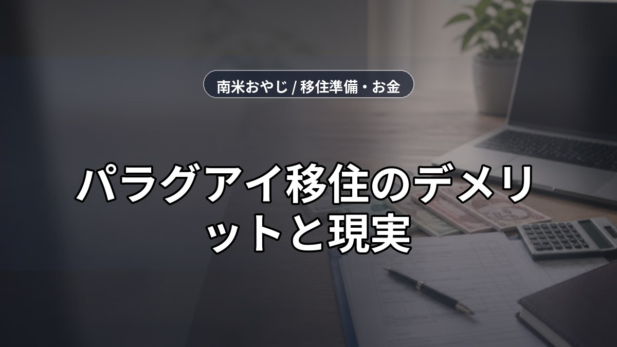 パラグアイ移住のデメリットと現実｜語学・生活費・治安の注意点【2026年】 のサムネイル画像